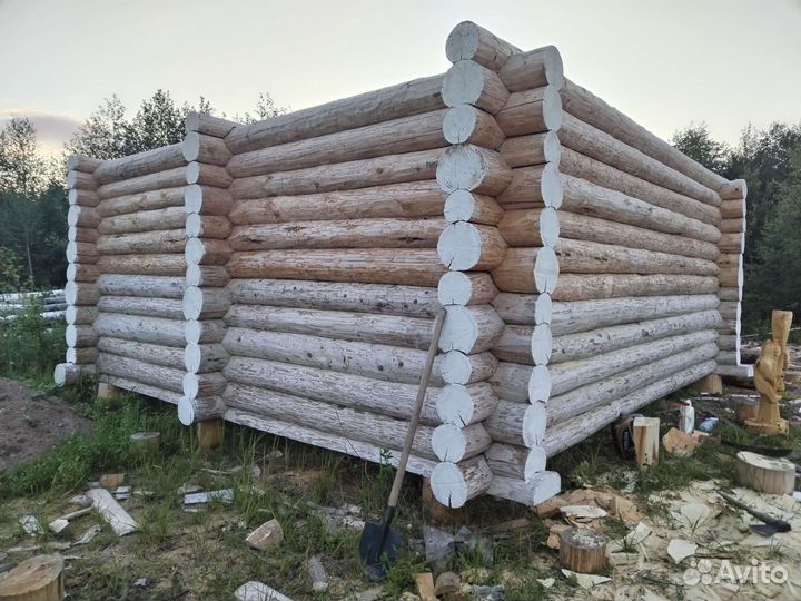 Сруб дома из бревна