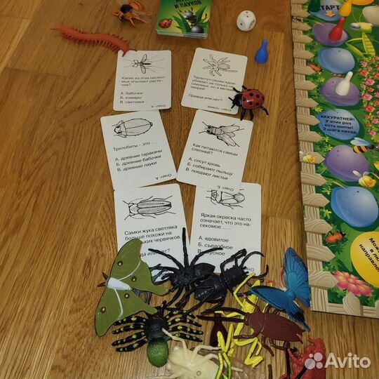 В мире жуков и пауков. С фигурками насекомых