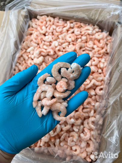 Креветка очищенная 200/300