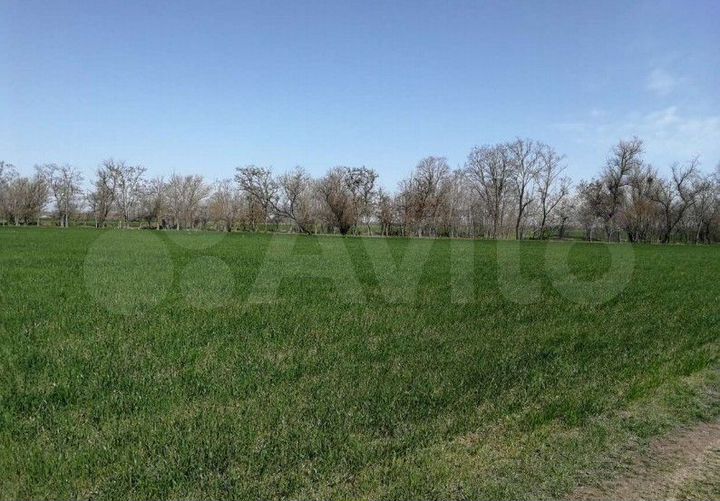 Участок 7,9 сот. (ИЖС)