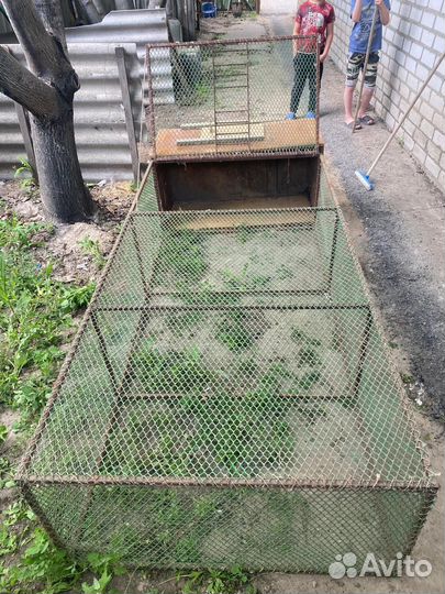 Клетка для цыплят