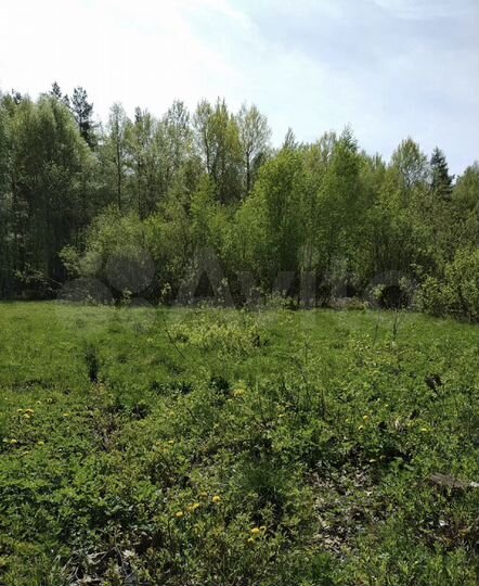 Участок 10 сот. (СНТ, ДНП)
