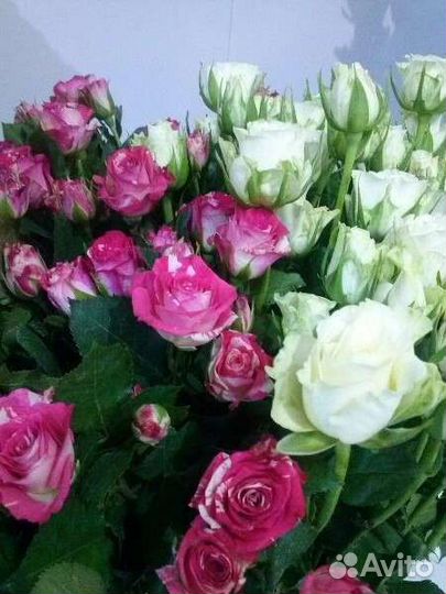 Цветы розы букет