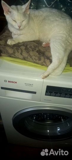 Стиральная машина bosch новая