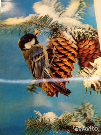 Стерео открытки Япония и 1шт СССР редкие