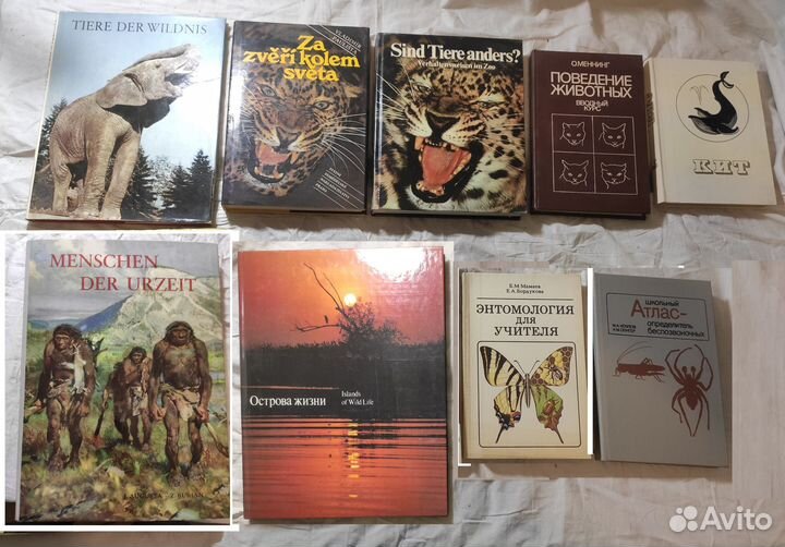 Книги: Охота, Животные,Самые красивые и знаменитые