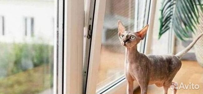 Пластиковые окна на заказ