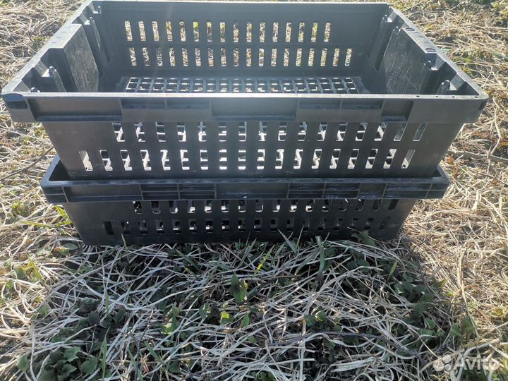 Пластиковые пищевые ящики