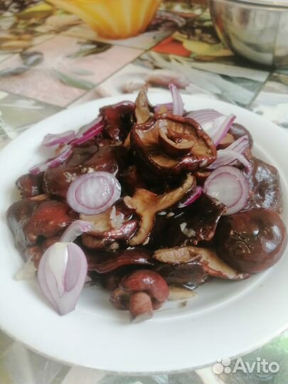 Грибы Грузди чёрные засолены холодным способом