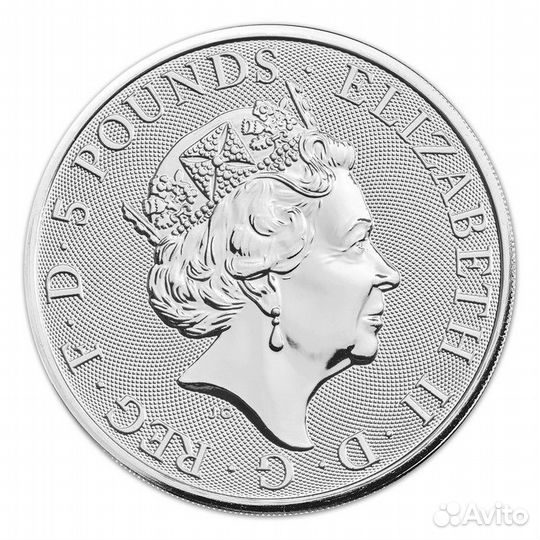 Белый Грейхаунд Ричмонда