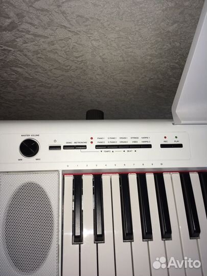 Сниникзатор Yamaha NP-12