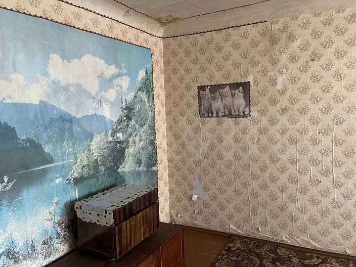 1-к. квартира, 27,2 м², 1/4 эт.