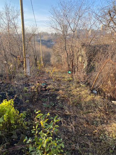 Участок 5,5 сот. (СНТ, ДНП)