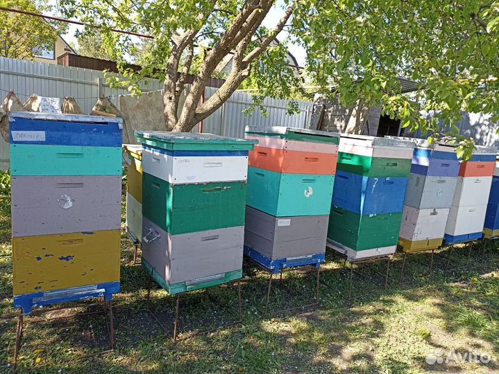 Продам ульи для пчел