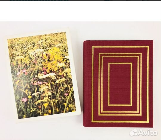 The golden ring (золотое кольцо) 1976