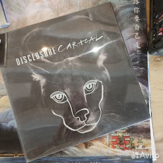 Винил из личной коллекции Hip Hop Urban RnB