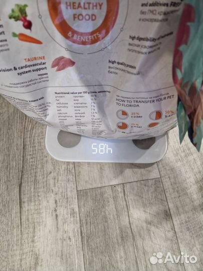 Сухой корм для котят