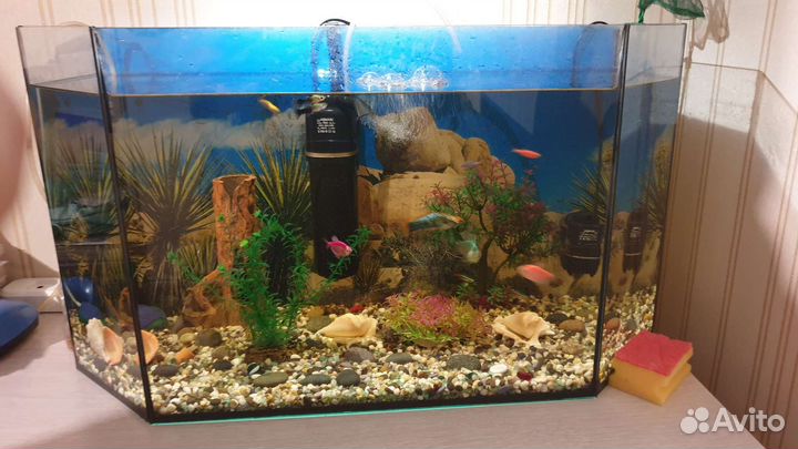 Аквариум с рыбами