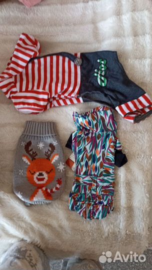 Одежда разная, сумка-переноска