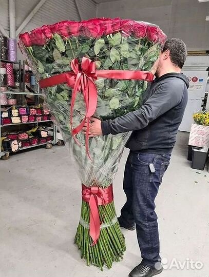 Розы гиганты 140 150 160 170 180 200