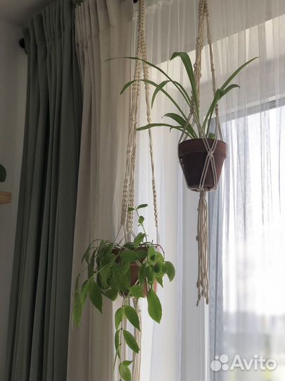 Подарочный набор для создания подвесного кашпо