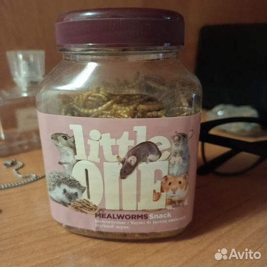 Корм для ежа