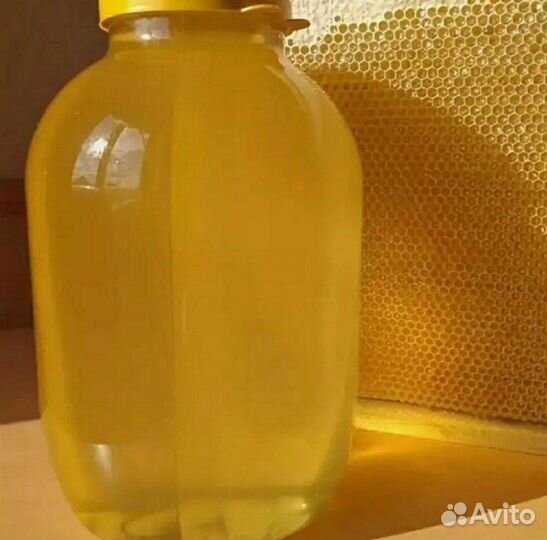 Мед 2023