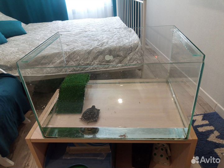 Террариум 30 литров с красноухой черепахой