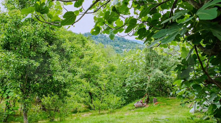 Участок 20 сот. (ИЖС)