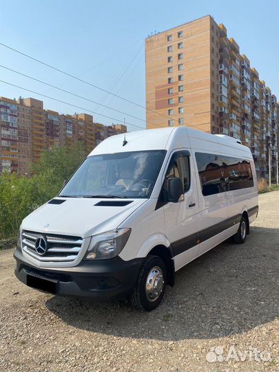 Пассажирские перевозки/VIP/услуги и аренда