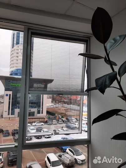 Москитная сетка