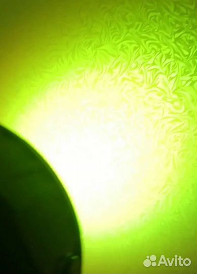 Светомузыка Стробоскопы Прожекторы LED PAR 24x12W