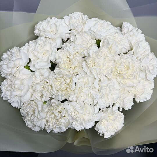 Гвоздики букет из пионов