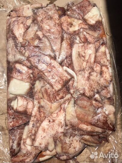 Кальмар тушка