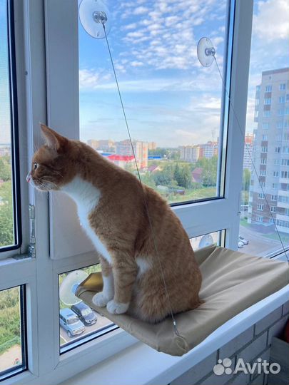 Гамак лежанка для кошек на окно