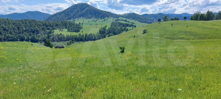 Участок 7 га (СНТ, ДНП)