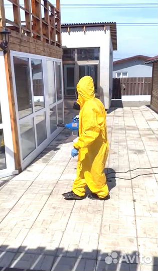 Уничтожение клопов, тараканов, плесени, мышей