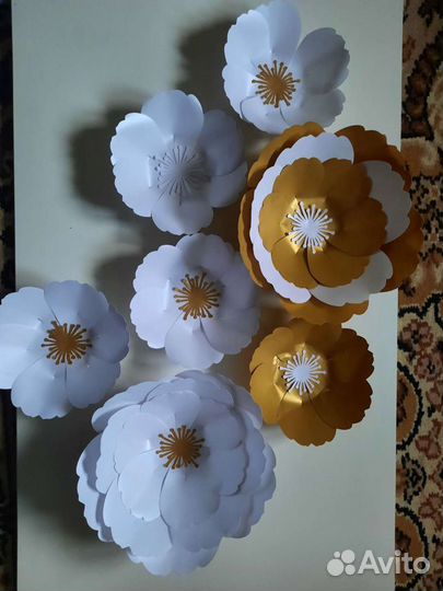 Интерьерные цветы