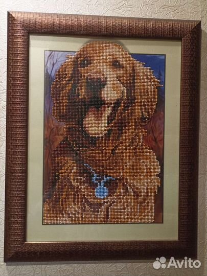 Алмазная мозаика Кокер спаниель