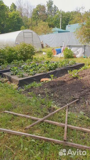 Перегной навоз удобрение для грядок цветов и т д