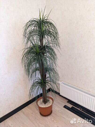 Искусственный цветок