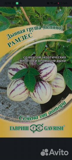 Пепино Консуэло
