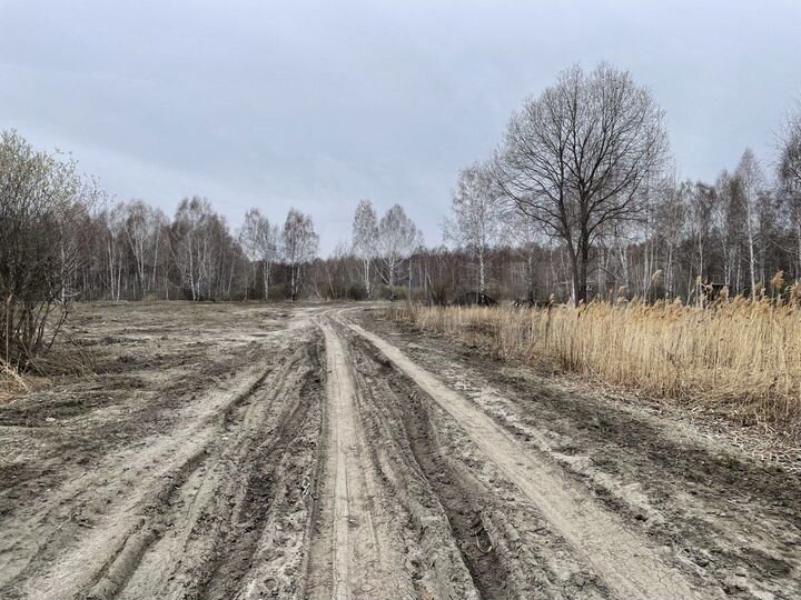 Участок 6,5 сот. (СНТ, ДНП)