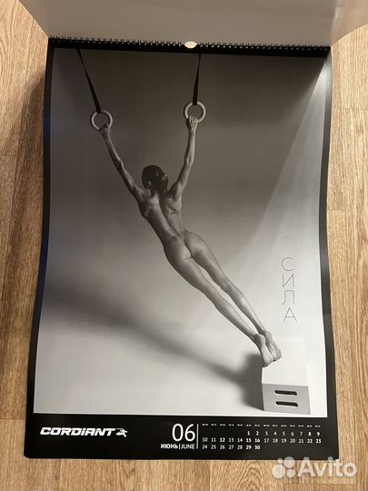 Коллекционный календарь 18+ Cordiant 2024