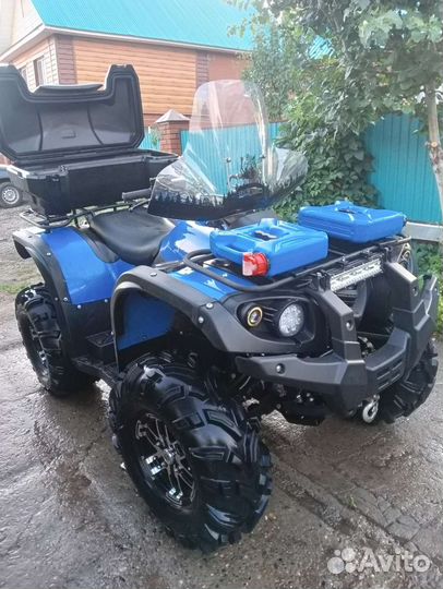 Стелс леопард