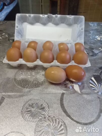 Продукты