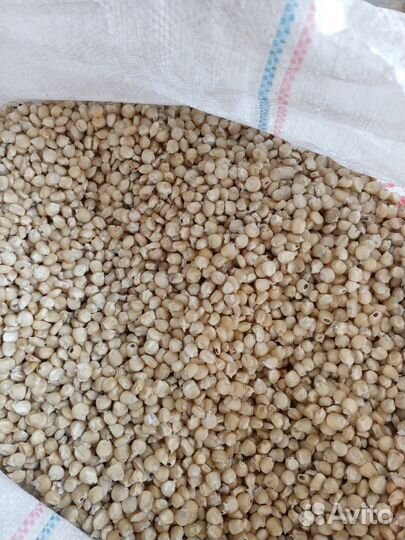 Очищенная кукуруза, готовая на помол. оптом