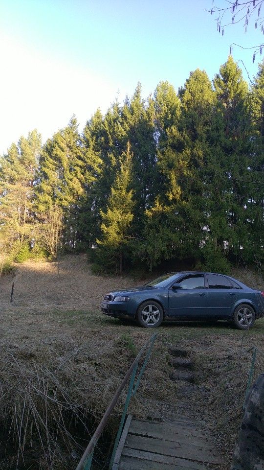 Audi A4: фото владельца