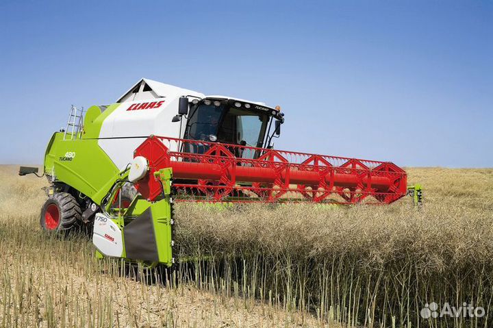 Уборка урожая 2024