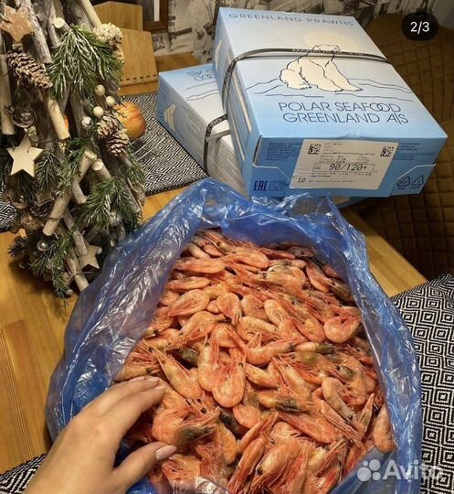 Креветка северная